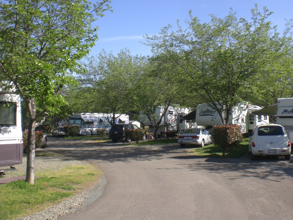 60s row sites Auburn California RV Park and Family Campground Resort